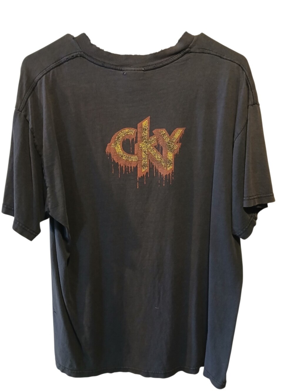 Vintage CKY Shock And Terror T-Shirt Size L Jackass V… - Gem